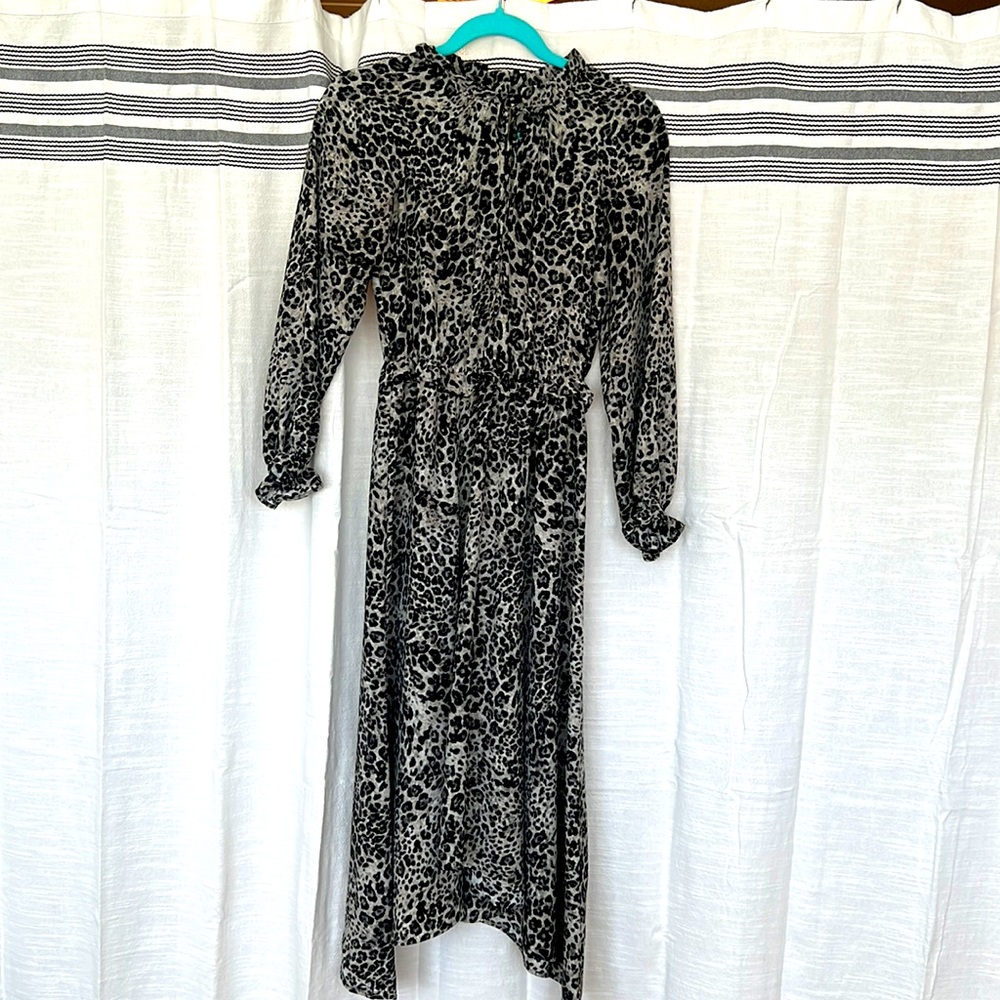 Banana Republic Cheetah Dress